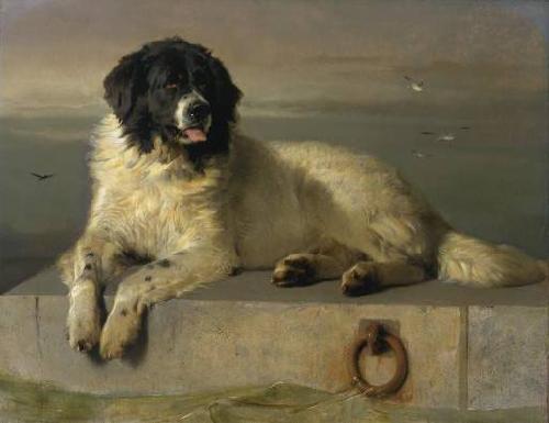 Sir edwin henry landseer,R.A. A Distinguished Member of the Humane Society oil painting picture